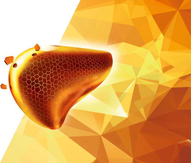 essentiale kepenų testo fonas